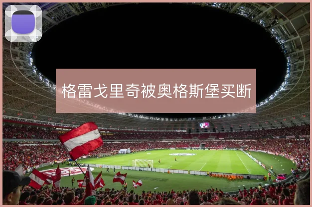 格雷戈里奇被奥格斯堡买断
