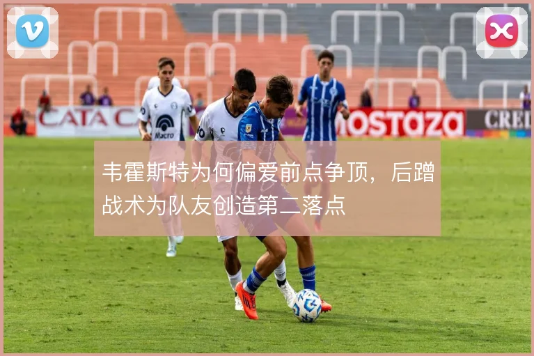 韦霍斯特为何偏爱前点争顶，后蹭战术为队友创造第二落点