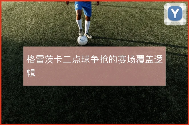 格雷茨卡二点球争抢的赛场覆盖逻辑